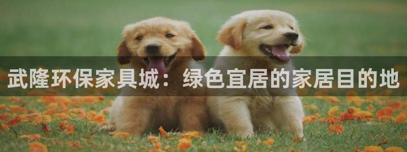 杏耀代理连接