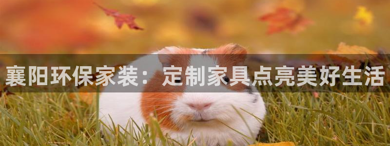 杏耀平台几年了