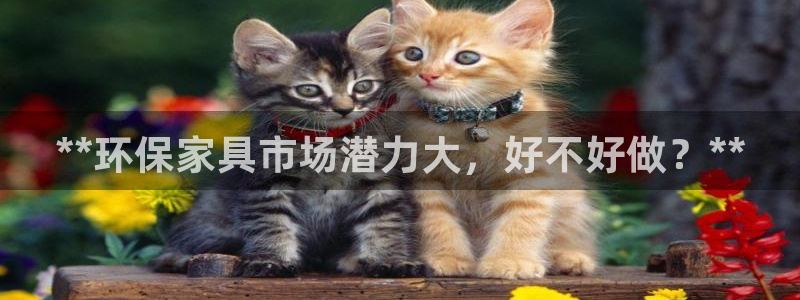 杏耀平台到底能玩吗