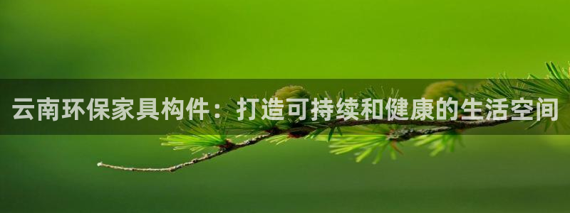 杏耀平台的专用通道