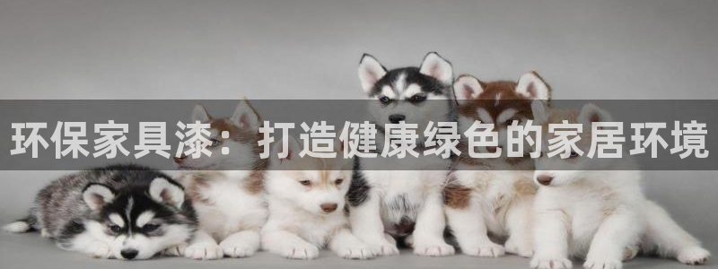 杏耀主管qq
