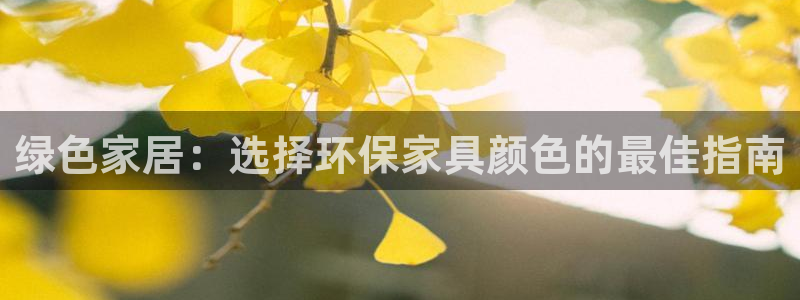 杏耀软件