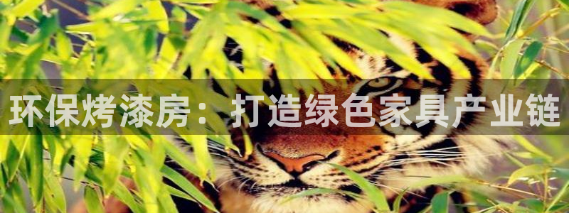 杏耀平台在哪里