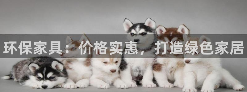 杏耀平台招商的流程