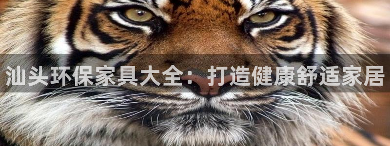 杏耀代理主管qq