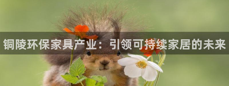 杏耀注册线路：铜陵环保家具产业：引领可持续家居的未来