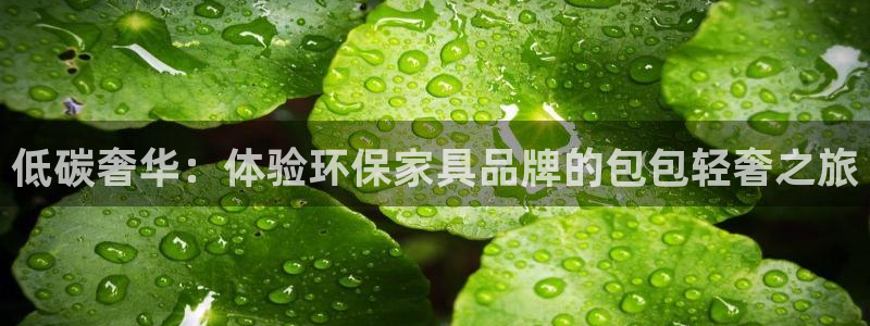 杏耀注册app：低碳奢华：体验环保家具品牌的包包轻奢之旅