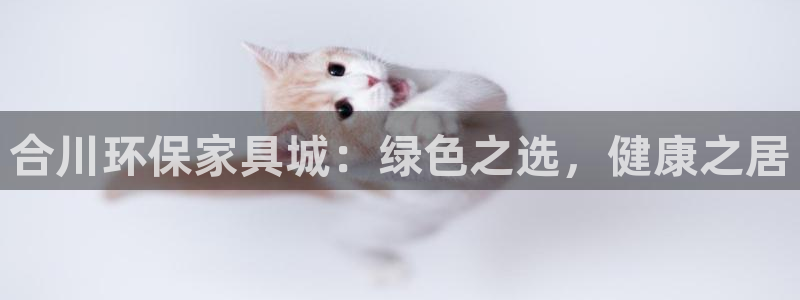 杏耀官方测速