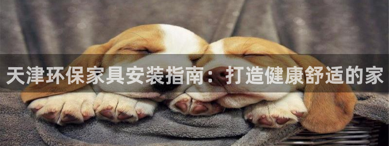 杏耀平台登录网址是什么：天津环保家具安装指南：打造健康舒适的