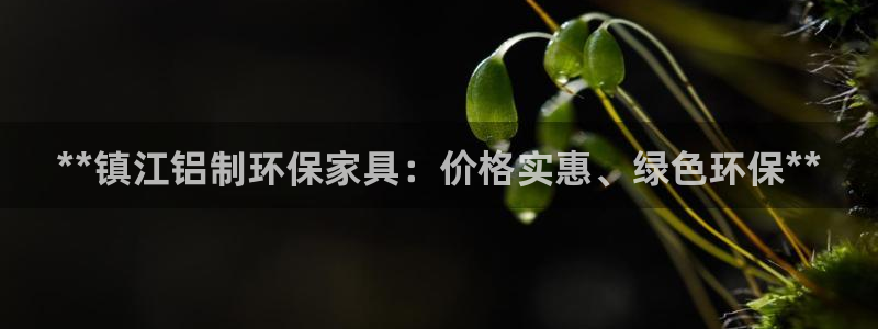 杏耀如何注册：**镇江铝制环保家具：价格实惠、绿色环保**
