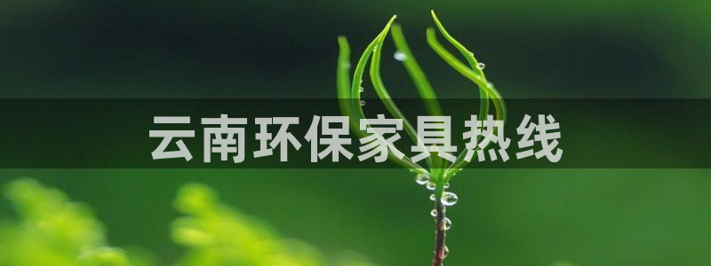 杏耀平台登录地址：云南环保家具热线