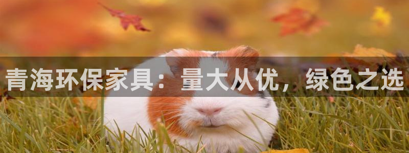 杏耀客户端登陆：青海环保家具：量大从优，绿色之选