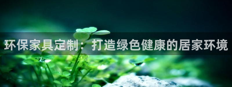 杏耀代理1980：环保家具定制：打造绿色健康的居家环境