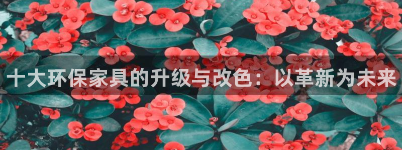 杏耀登入官网