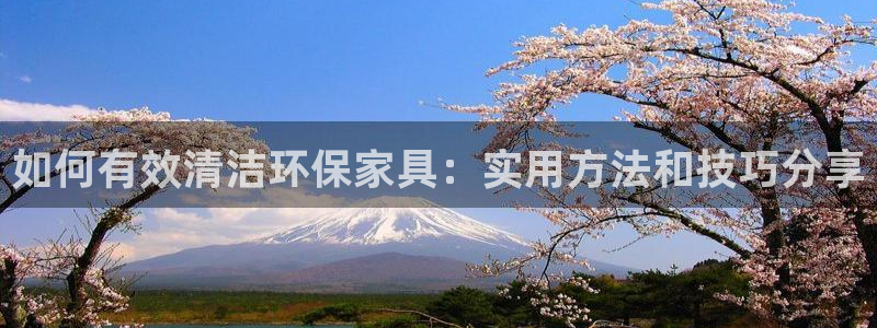 杏耀手机客户端：如何有效清洁环保家具：实用方法和技巧分享