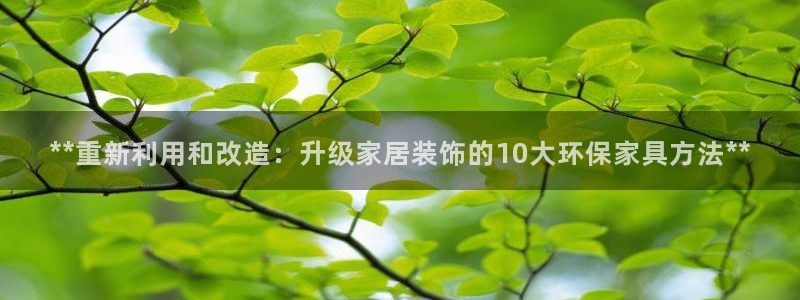 杏耀平台客服：**重新利用和改造：升级家居装饰的10大环保家