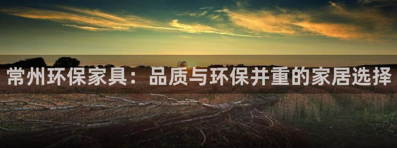 杏耀平台代理注册：常州环保家具：品质与环保并重的家居选择