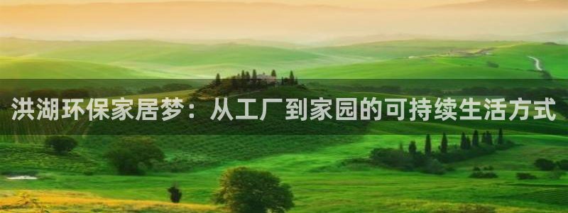 杏耀平台代理注册多少钱一年：洪湖环保家居梦：从工厂到家园的可
