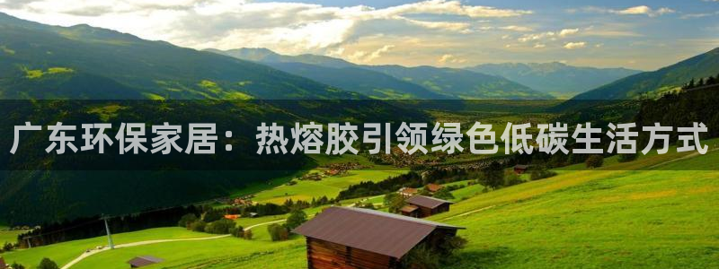 杏耀平台测速登陆：广东环保家居：热熔胶引领绿色低碳生活方式