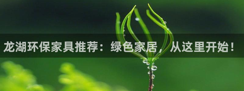杏耀平台还在吗：龙湖环保家具推荐：绿色家居，从这里开始！