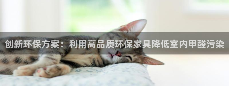 杏耀平台主管