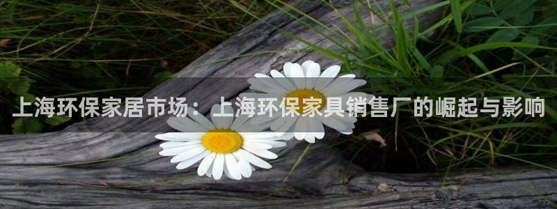 杏耀平台代理怎么赚钱快：上海环保家居市场：上海环保家具销售厂