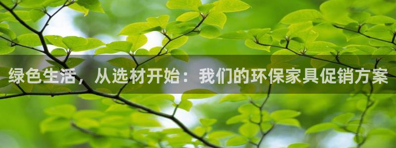杏耀官网网站：绿色生活，从选材开始：我们的环保家具促销方案