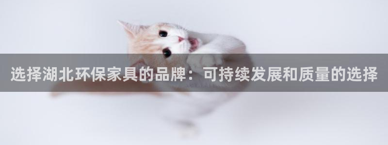 杏耀平台代理怎么赚钱的