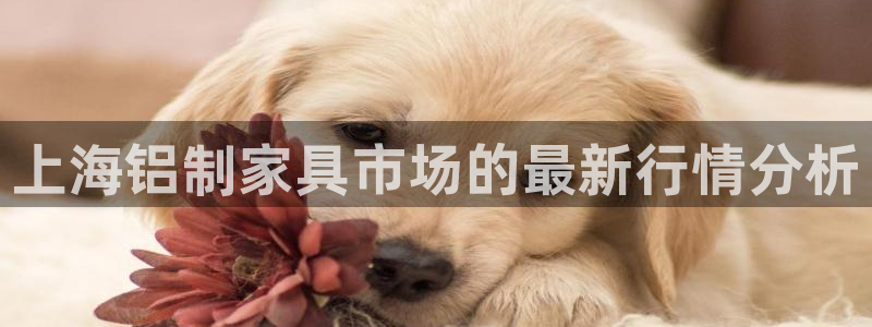 杏耀平台代理怎么赚钱快