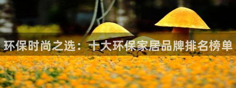 杏耀平台登录首页：环保时尚之选：十大环保家居品牌排名榜单