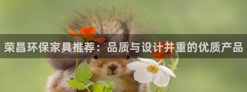 杏耀平台官方网站：荣昌环保家具推荐：品质与设计并重的优质产品