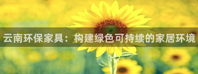 杏耀平台代理登录网址是什么：云南环保家具：构建绿色可持续的家