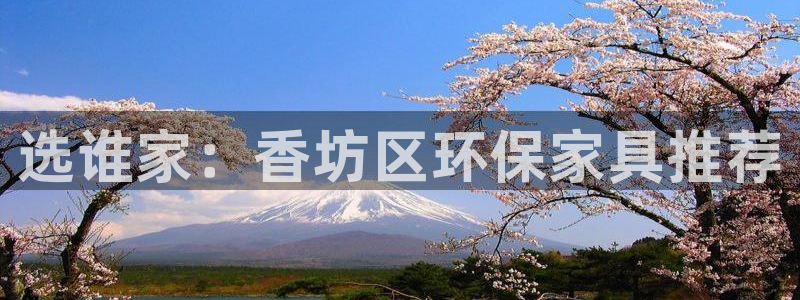 杏耀如何注册：选谁家：香坊区环保家具推荐