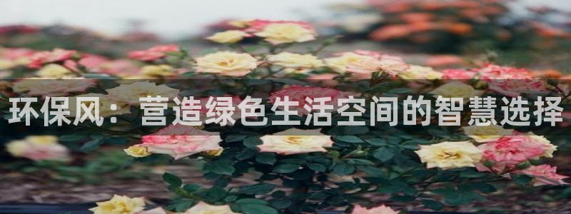 杏耀登陆：环保风：营造绿色生活空间的智慧选择