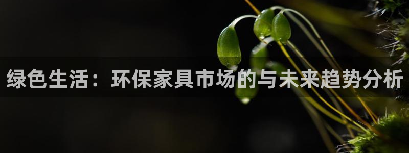 杏耀登录网页：绿色生活：环保家具市场的与未来趋势分析