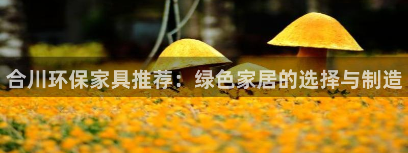 杏耀平台代理怎么赚钱：合川环保家具推荐：绿色家居的选择与制造