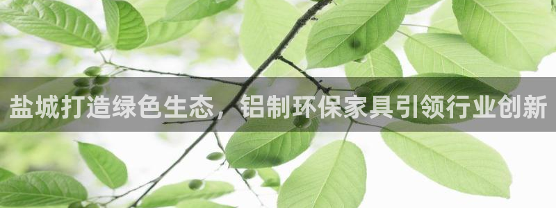 杏耀平台正规么：盐城打造绿色生态，铝制环保家具引领行业创新