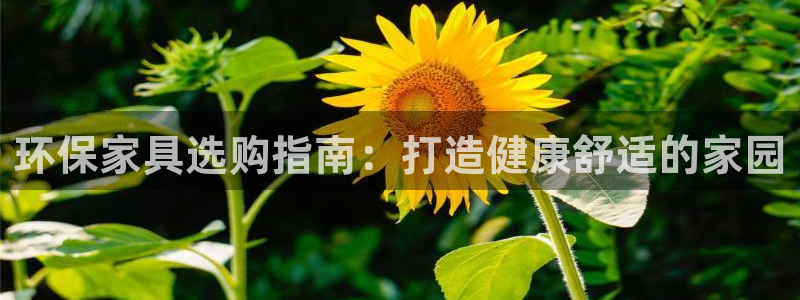 杏耀总代理