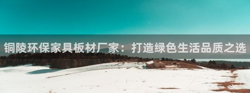 杏耀官网登陆：铜陵环保家具板材厂家：打造绿色生活品质之选