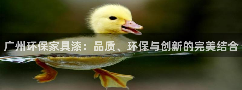 杏耀平台客服：广州环保家具漆：品质、环保与创新的完美结合