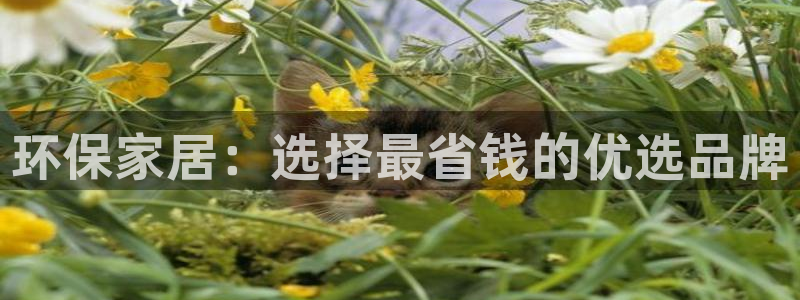 杏耀平台得专用通道