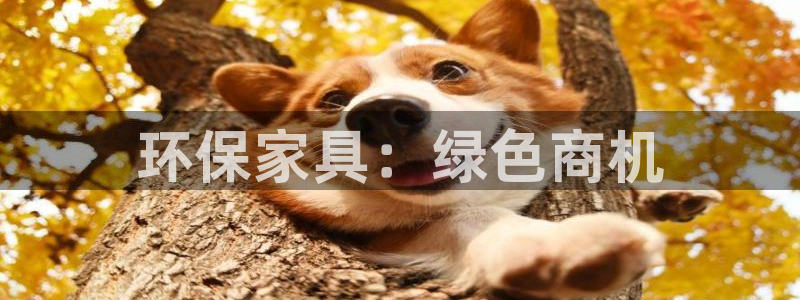 杏耀平台代理登录网址是什么：环保家具：绿色商机