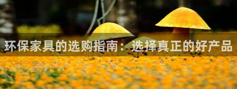 杏耀软件：环保家具的选购指南：选择真正的好产品