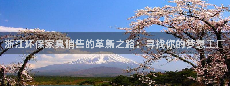 杏耀平台官方登陆：浙江环保家具销售的革新之路：寻找你的梦想工