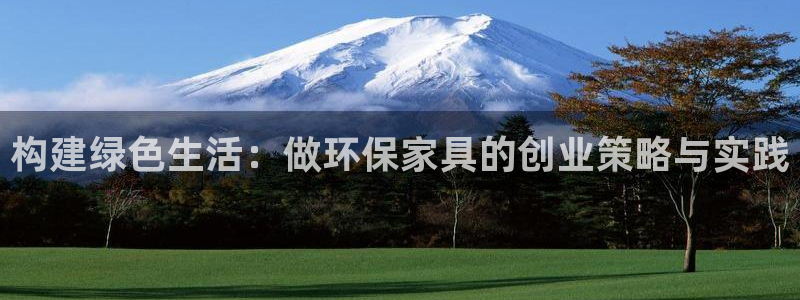 杏耀平台登陆测速：构建绿色生活：做环保家具的创业策略与实践