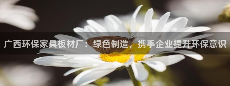 杏耀注册网址：广西环保家具板材厂：绿色制造，携手企业提升环保