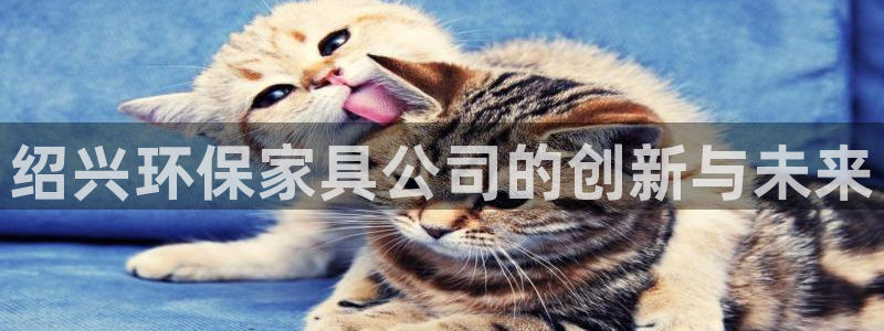 杏耀3代理：绍兴环保家具公司的创新与未来